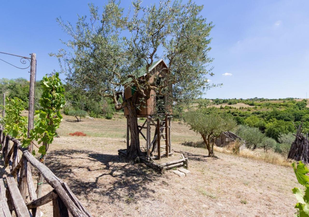 Agriturismo Torre Gialluise Gesualdo Zewnętrze zdjęcie