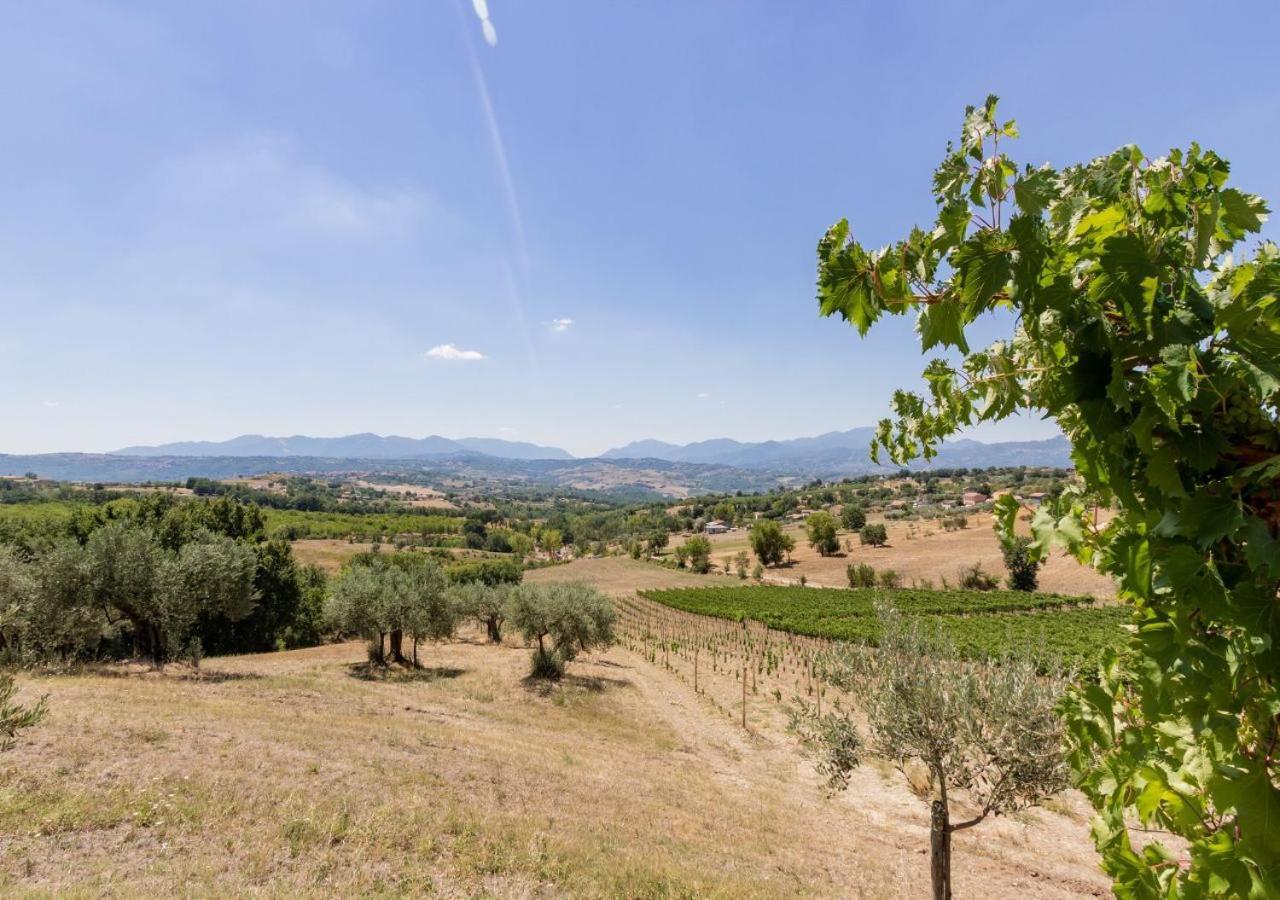 Agriturismo Torre Gialluise Gesualdo Zewnętrze zdjęcie