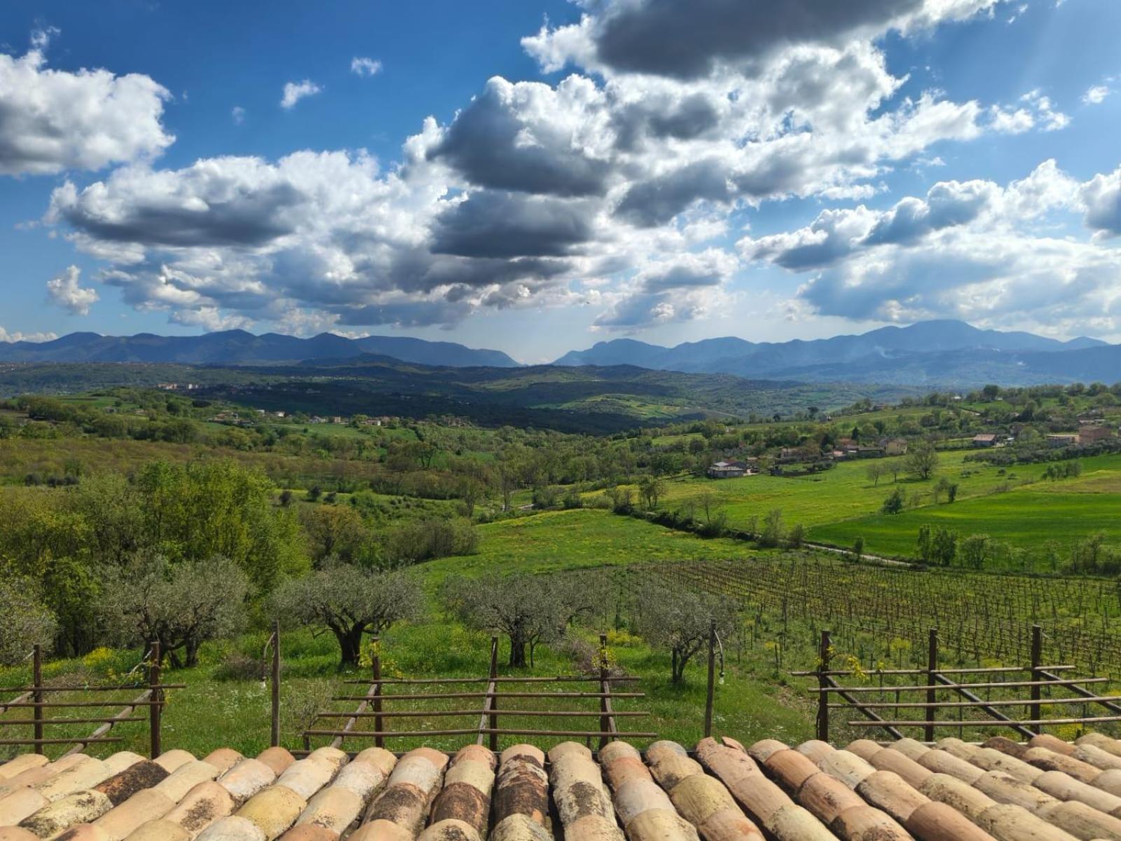 Agriturismo Torre Gialluise Gesualdo Zewnętrze zdjęcie